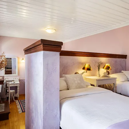 Archontiko Parnassus Dadi